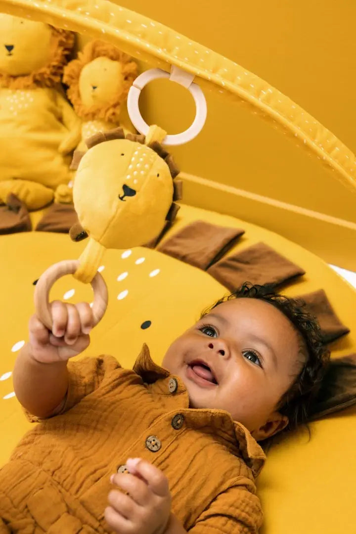 Babyleksaker